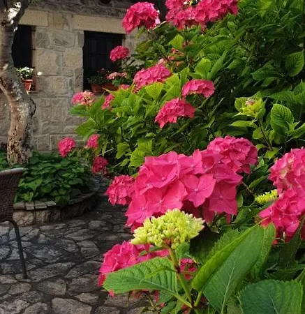 Guest house Fortuna
