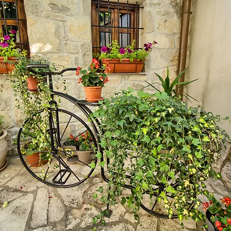 Fortuna Mostar